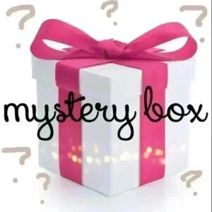 🎉CLOTHING RESELLER MYSTERY BOX🎉LEAST 13 Name Brand Clothing/JewelryItems!NWT!